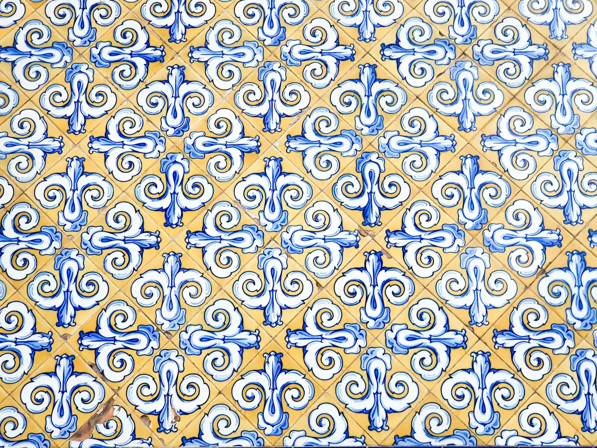 cini